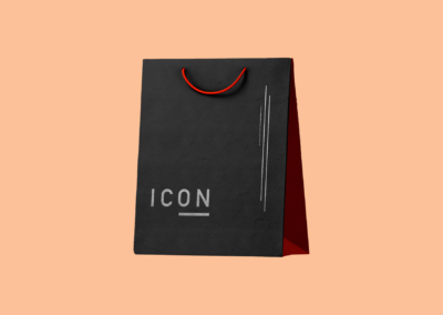 Sacs en kraft - Kraftsäcke - Iconica - 10